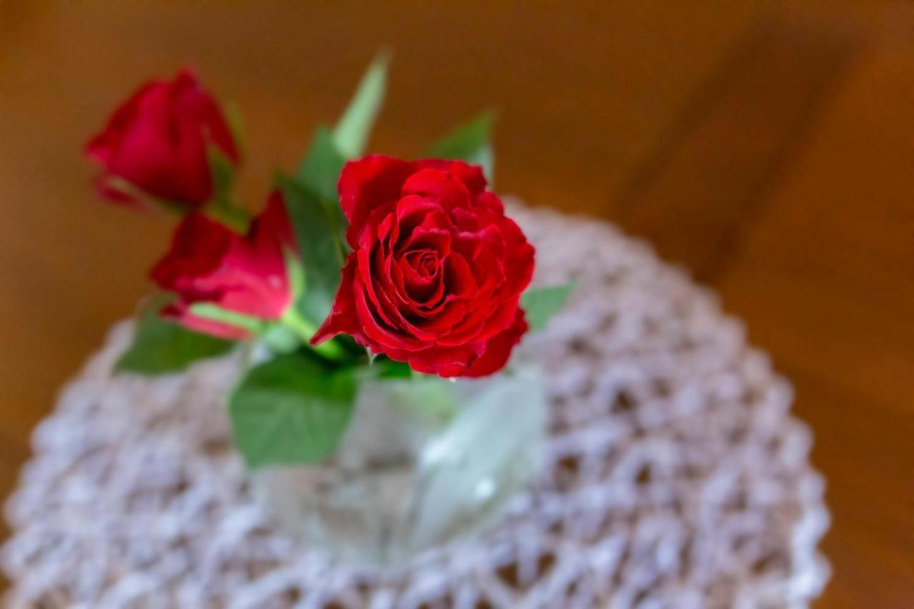 Goricko Relax House Apartment Kuzma ภายนอก รูปภาพ